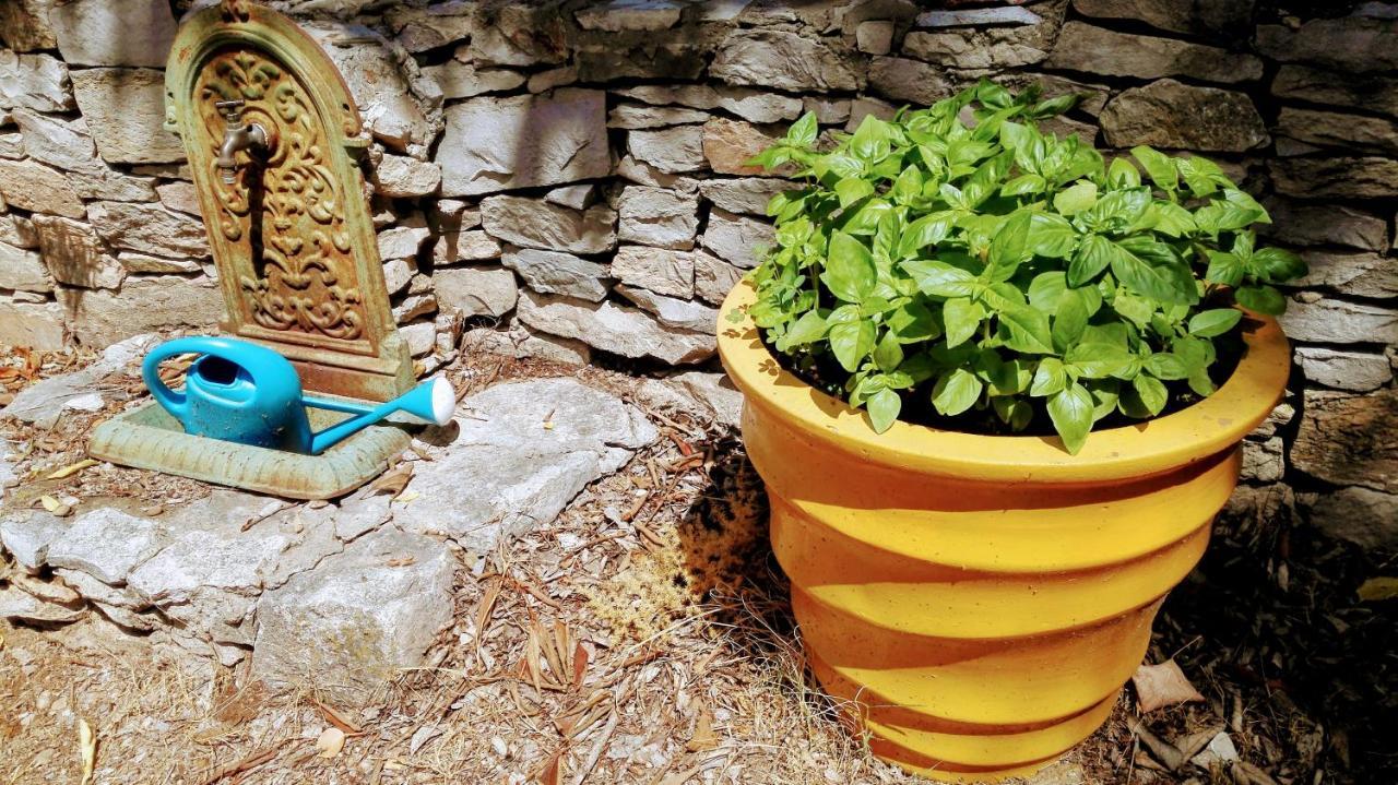 Nimes En Garrigues B&B 외부 사진