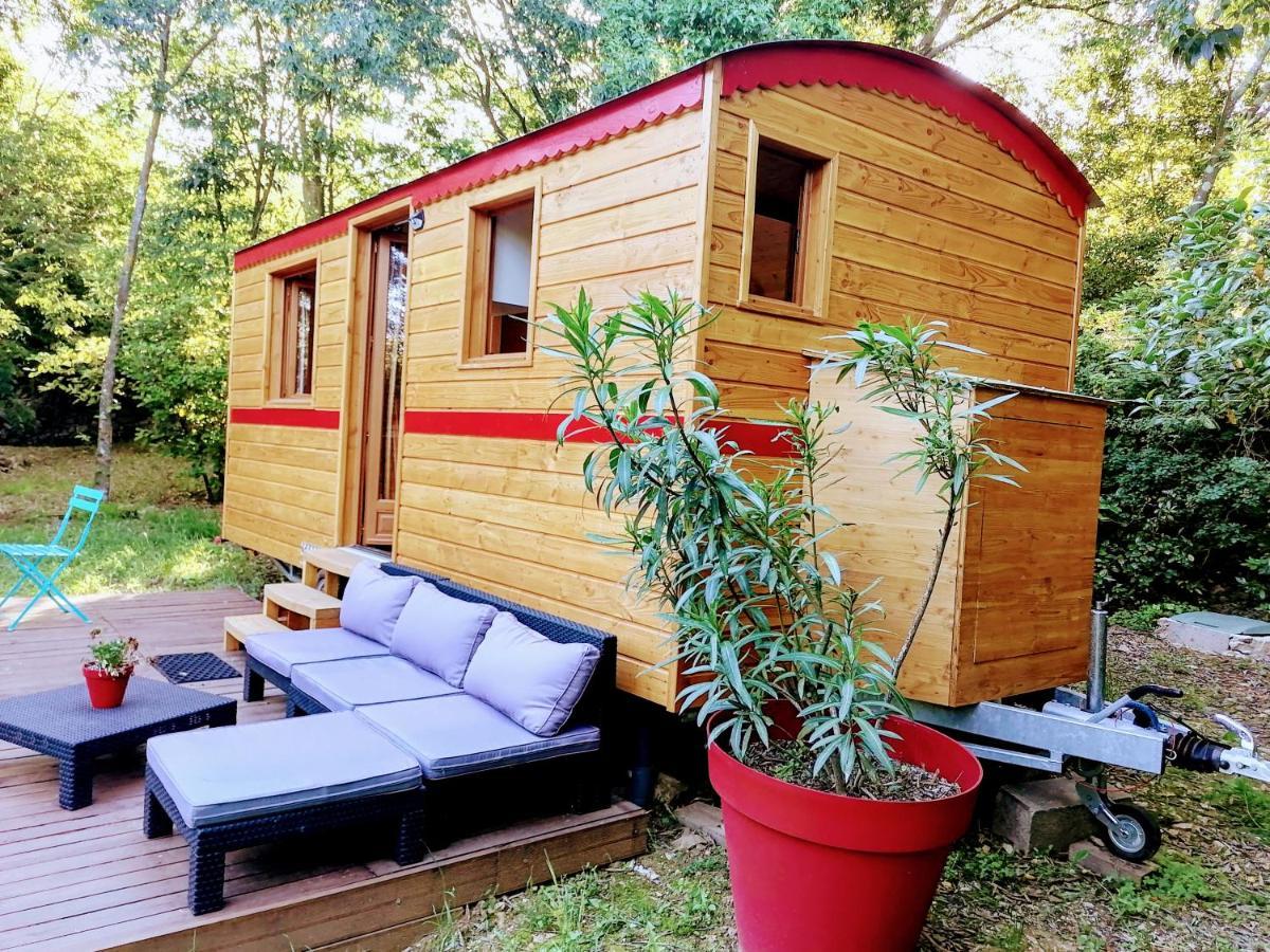 Nimes En Garrigues B&B 외부 사진